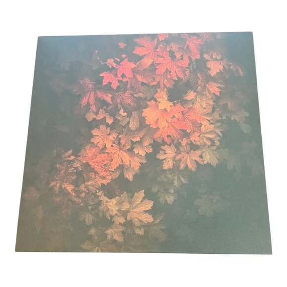 Craft Smith Autumn Dream 12x12 Scrapbook Paper Pad 46 Acid Free Sheet Fall Theme - Picture 16 of 16